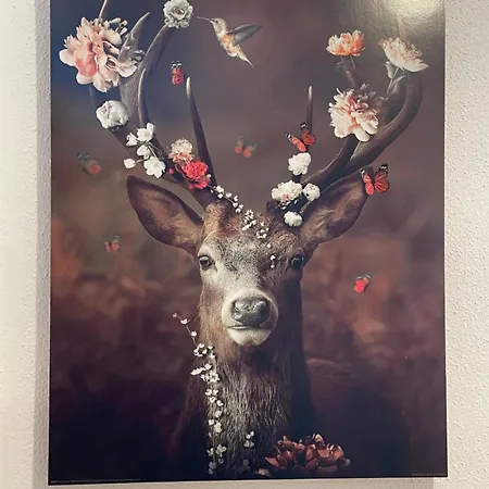 Wildenbach By Interhome * Grafenweg