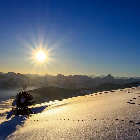 Wildenbach By Interhome 木屋 Grafenweg